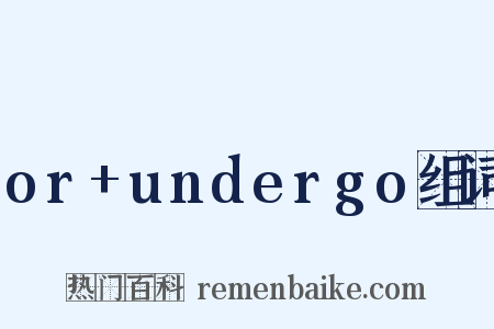 or+undergo组词是什么意思的图片